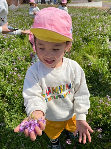 ゆり組さんれんげ草畑にいったよ♪
