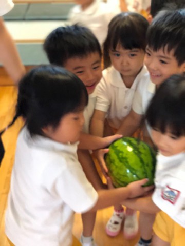 畑で採れたスイカで夏ならではのスイカ割り★