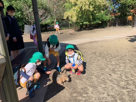 バスにのってバイオパークへ♥