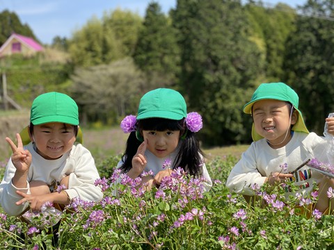 4/9れんげ草見に行ったよ〜◡̈⃝♩