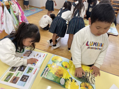 4/12 今日のルンビニーkids