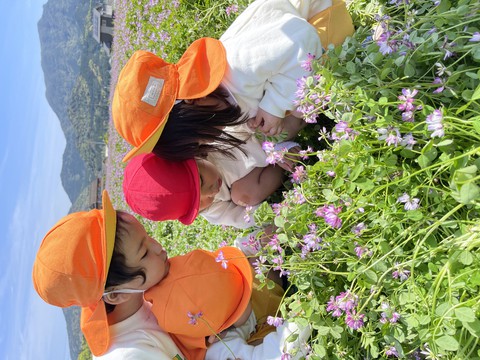 4/15 れんげ草とこどもたち