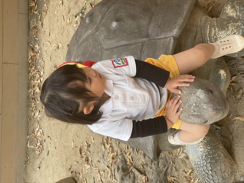 4/23 本日のルンビニーkids❤️