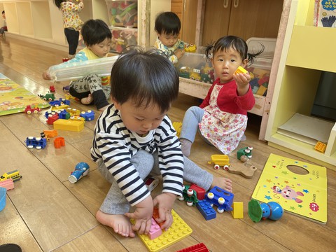 4/26  朝のばらぐみさん〜◡̈⃝♩