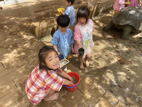 5/27 ふじぐみさんせっせとせっせと。