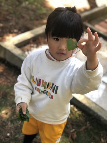 できるだけ正方形に近い形の写真をアップしてください